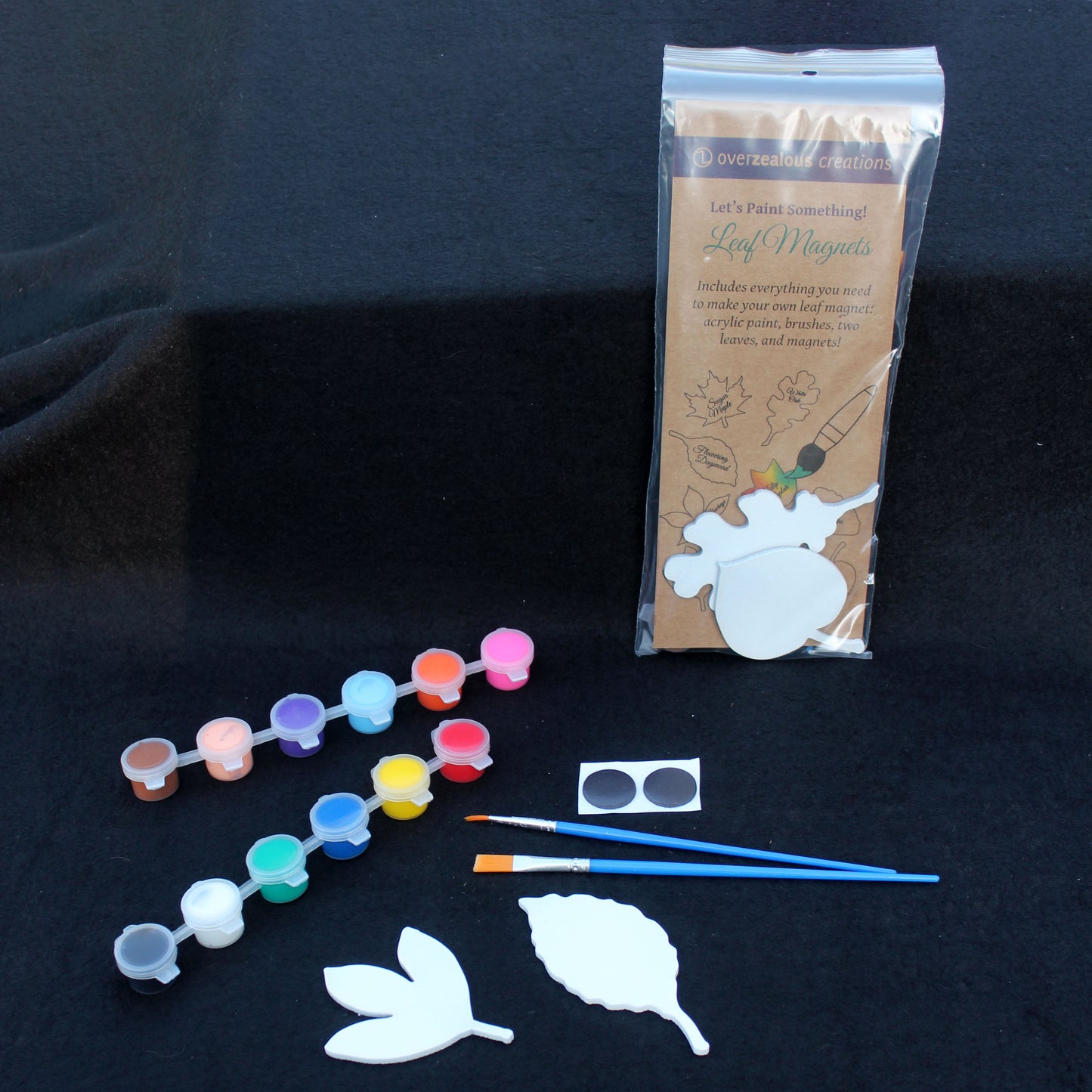 Paint-it-yourself Leaf Kit