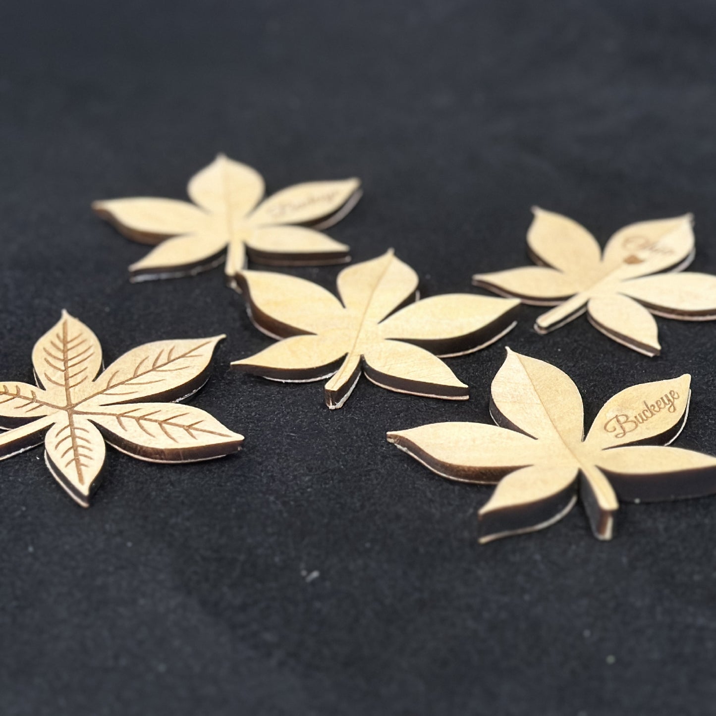 Ohio Buckeye Leaf Magnet