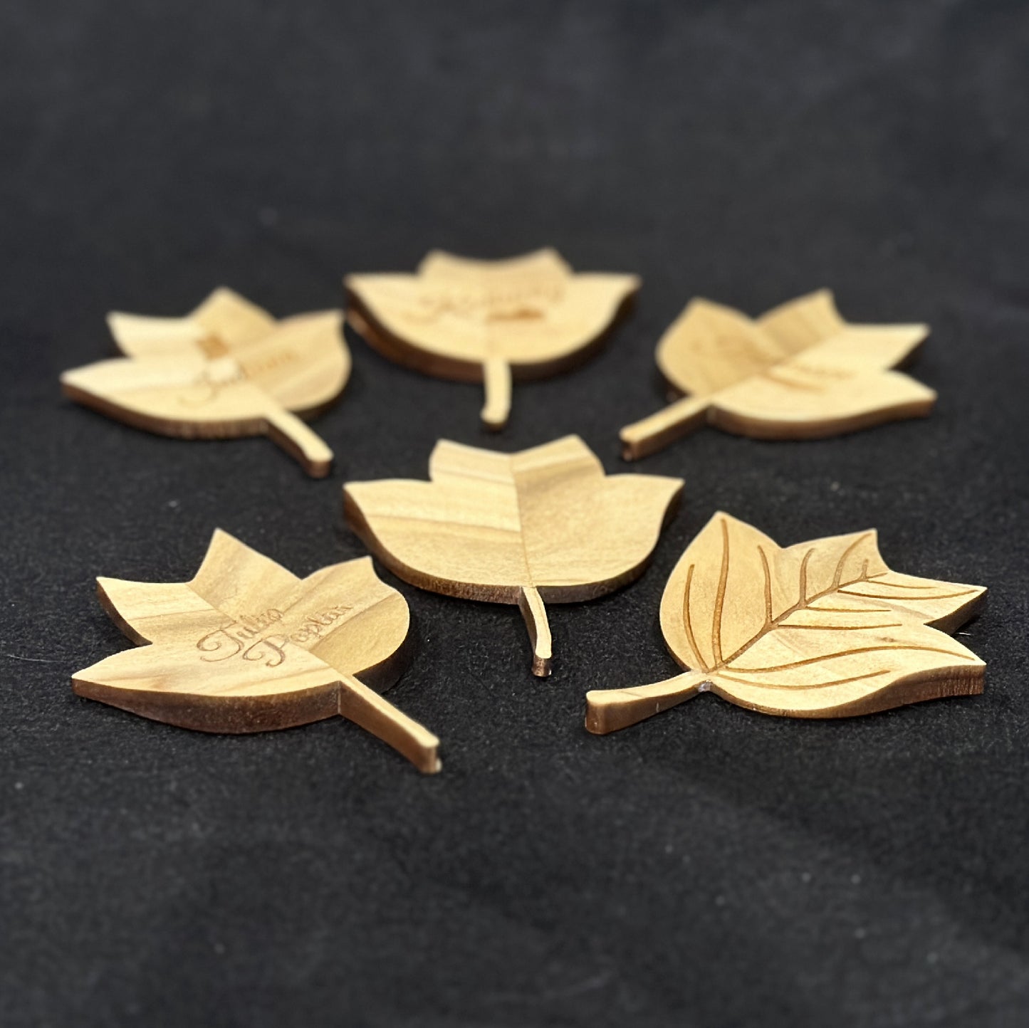 Tulip Poplar Leaf Magnet