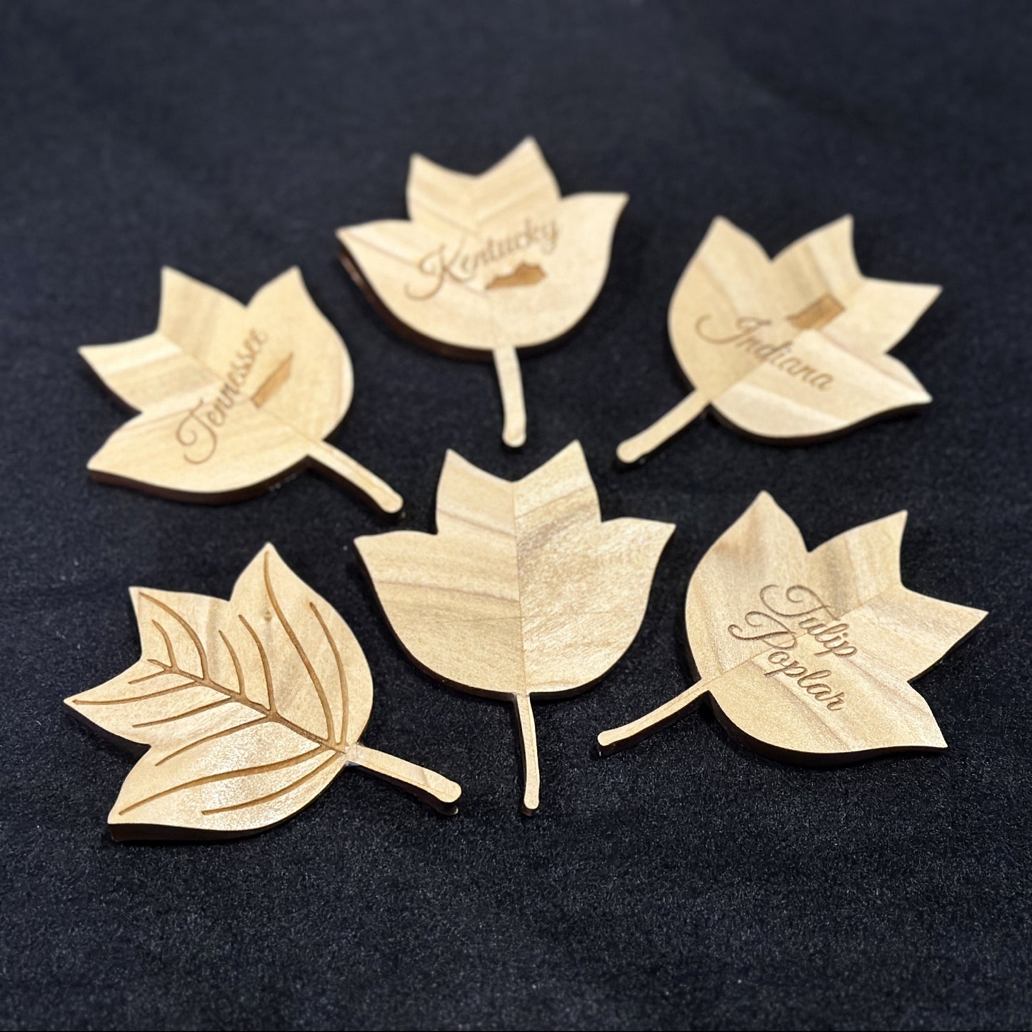 Tulip Poplar Leaf Magnet