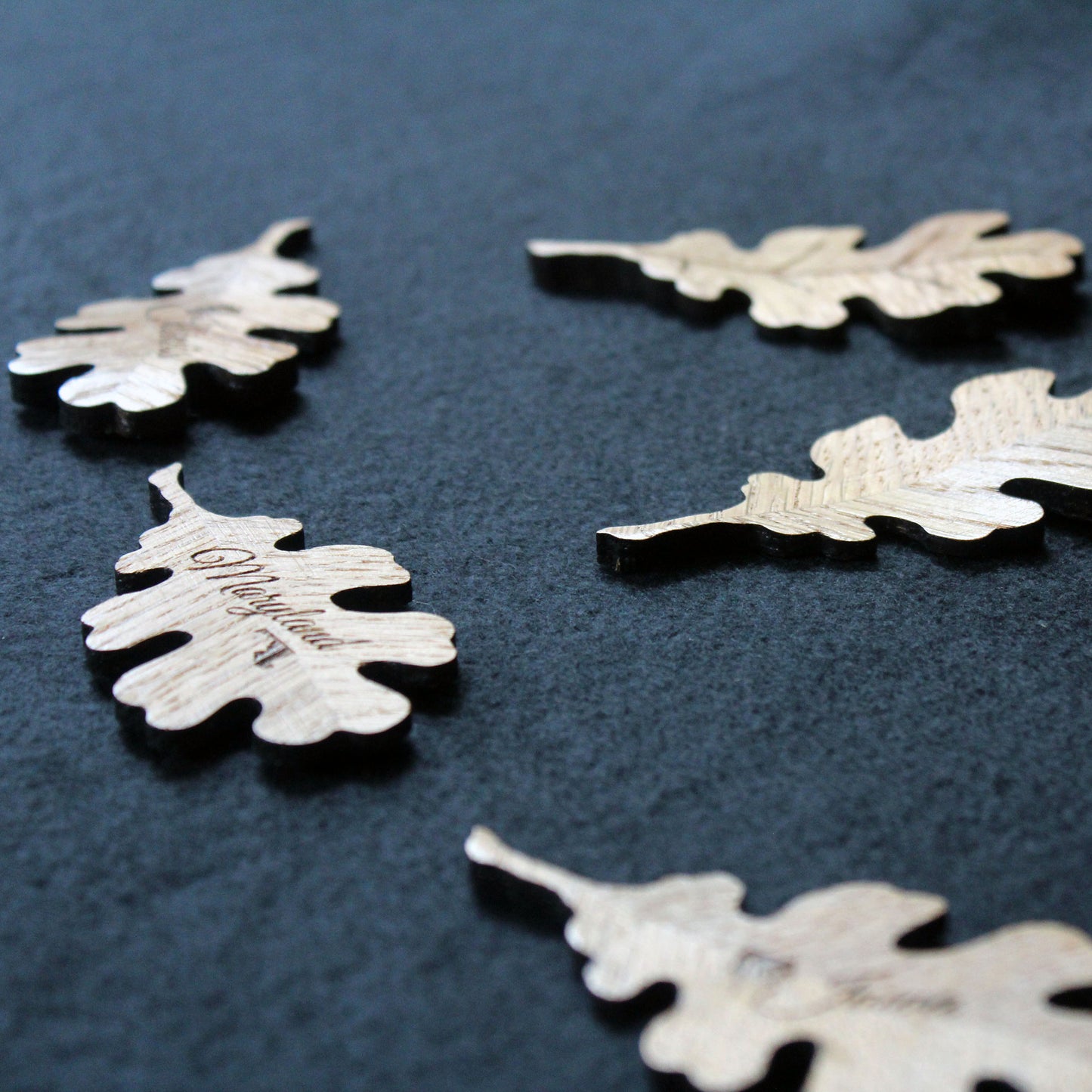 White Oak Leaf Magnet