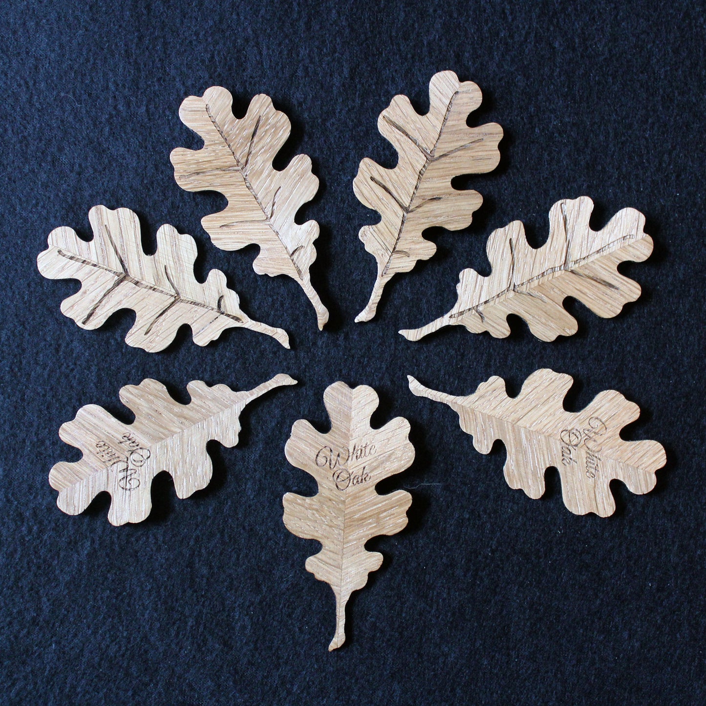 White Oak Leaf Magnet