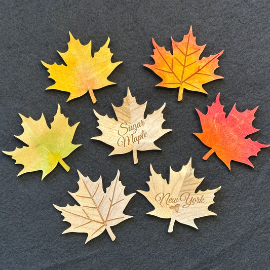 Sugar Maple Leaf Magnet