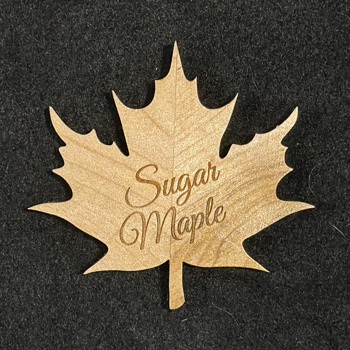 Sugar Maple Leaf Magnet
