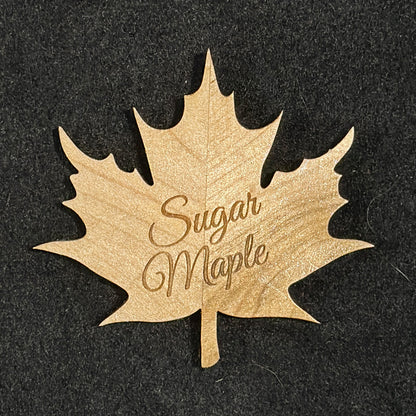 Sugar Maple Leaf Magnet