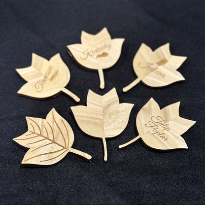 Tulip Poplar Leaf Magnet