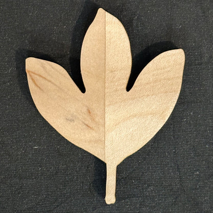 Sassafras Leaf Magnet
