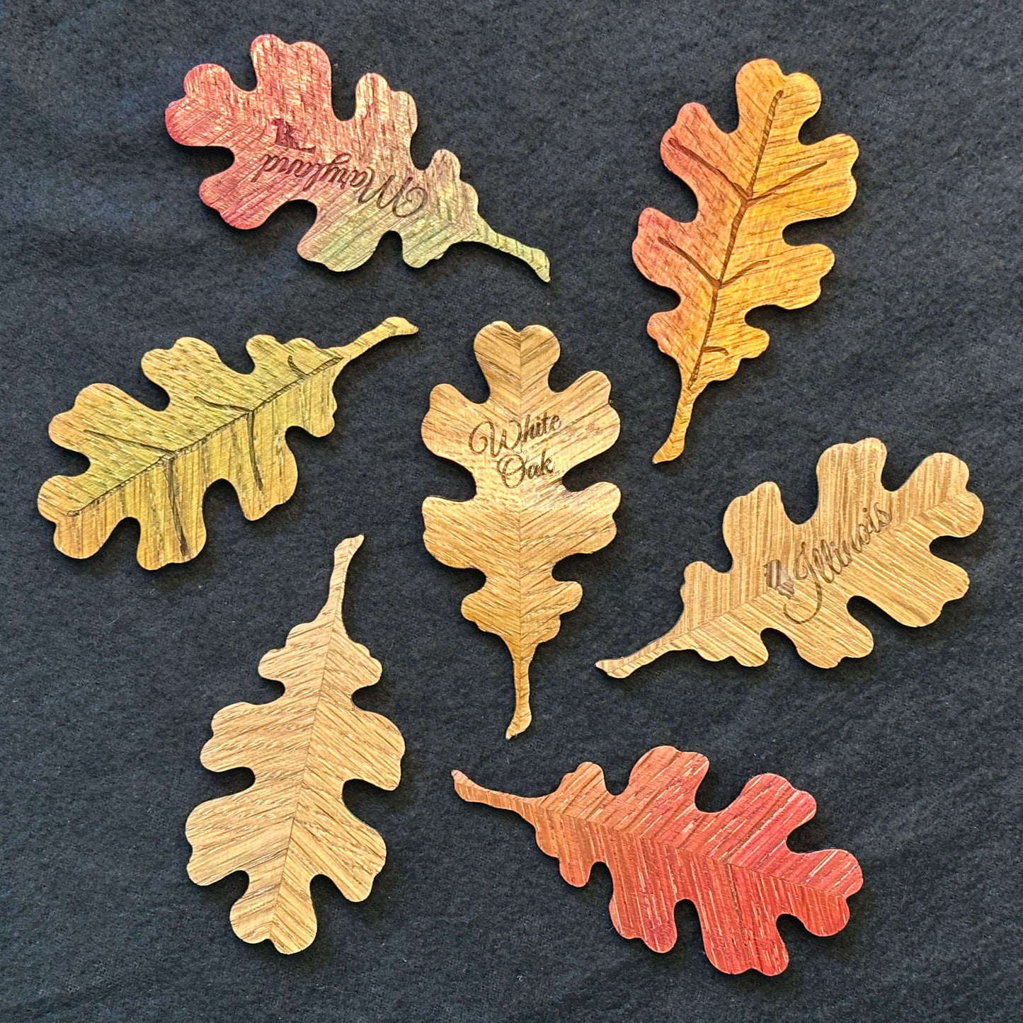 White Oak Leaf Magnet
