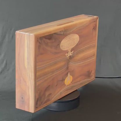 The Build Box: Star Trek Theme