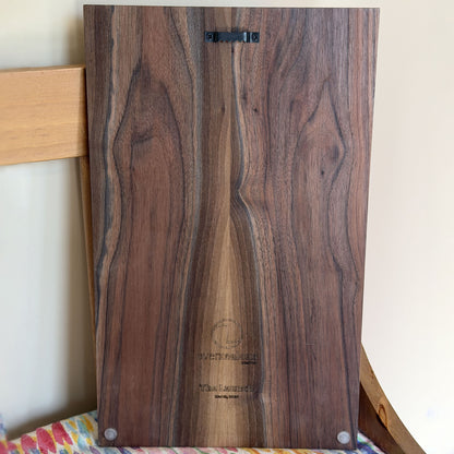 "The Launch" Wall Art